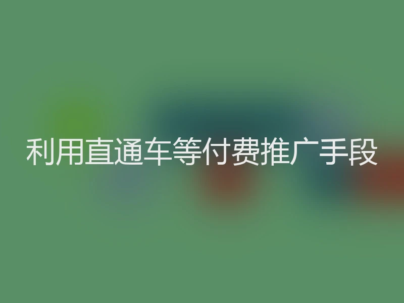 利用直通车等付费推广手段