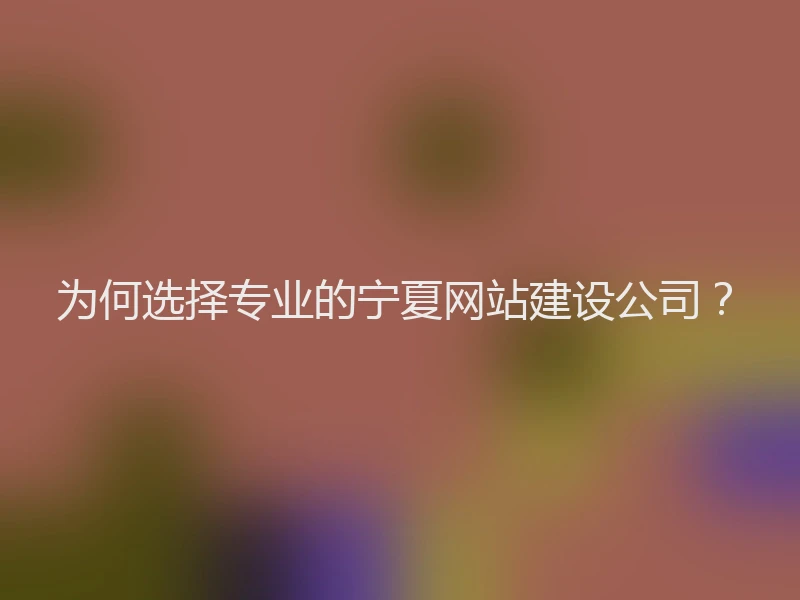为何选择专业的宁夏网站建设公司？