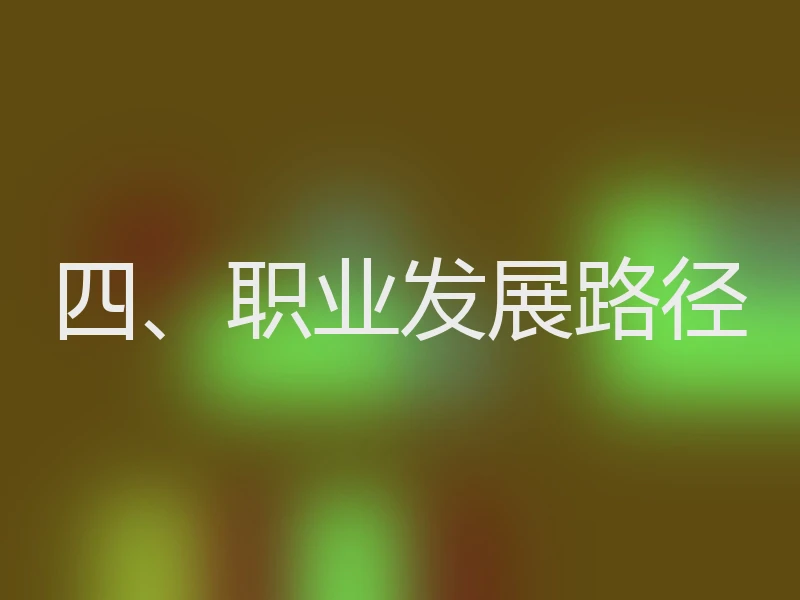 四、职业发展路径