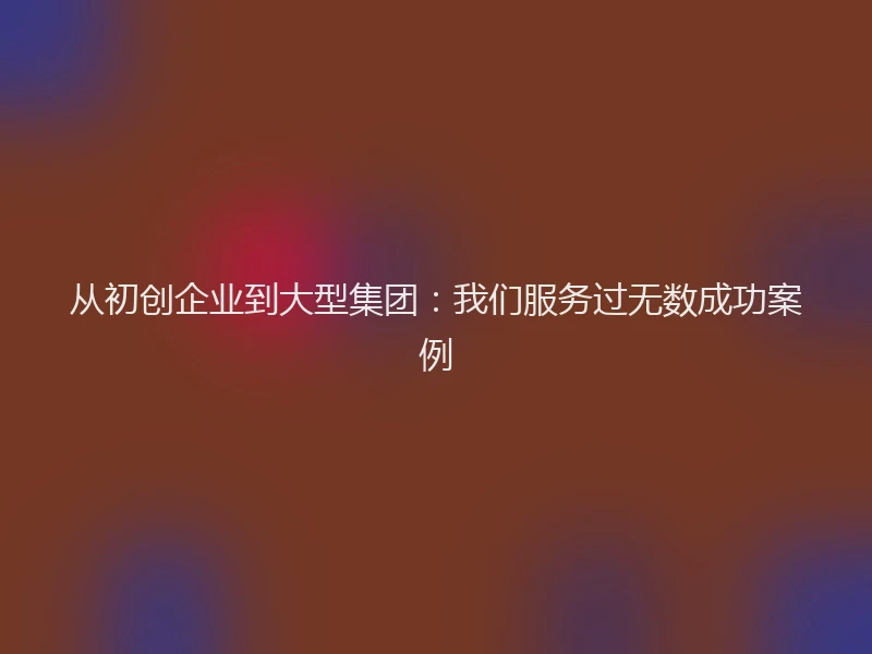 从初创企业到大型集团：我们服务过无数成功案例