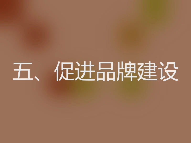 五、促进品牌建设