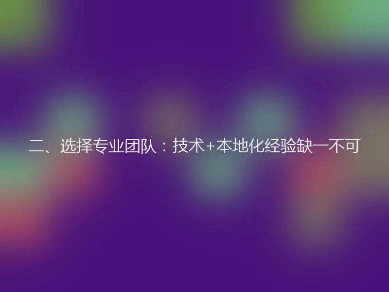 二、选择专业团队：技术+本地化经验缺一不可