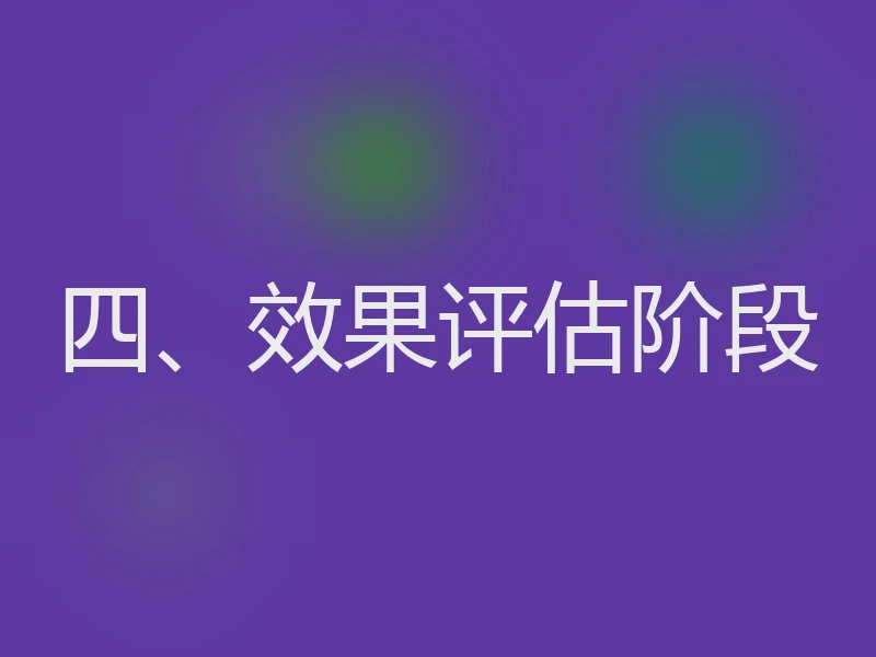 四、效果评估阶段