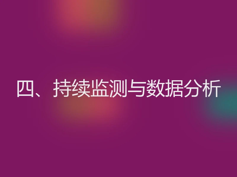 四、持续监测与数据分析