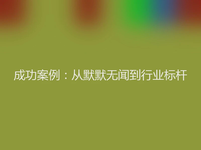 成功案例：从默默无闻到行业标杆
