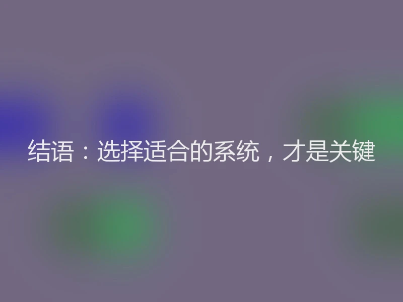 结语：选择适合的系统，才是关键
