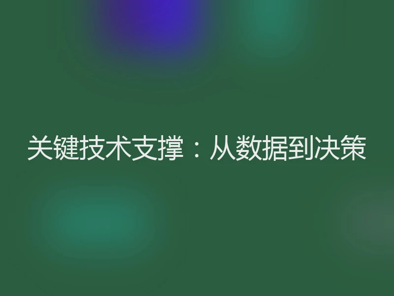 关键技术支撑：从数据到决策