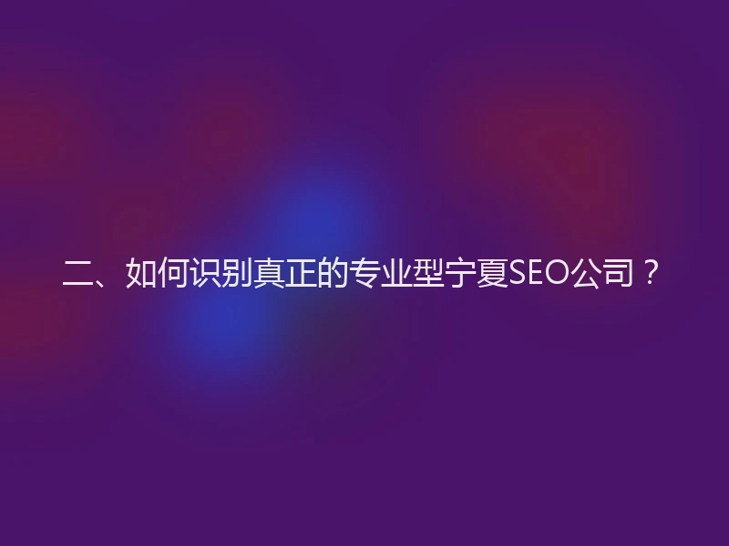 二、如何识别真正的专业型宁夏SEO公司？