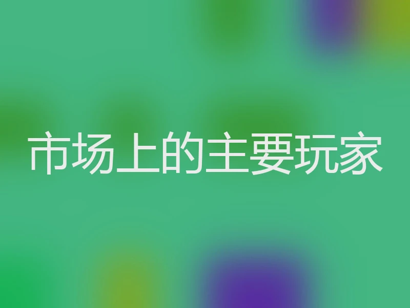 市场上的主要玩家