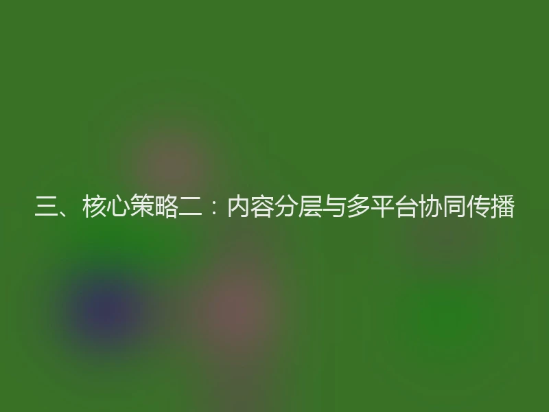 三、核心策略二：内容分层与多平台协同传播