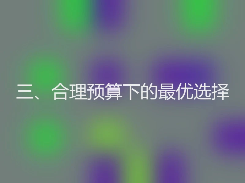 三、合理预算下的最优选择