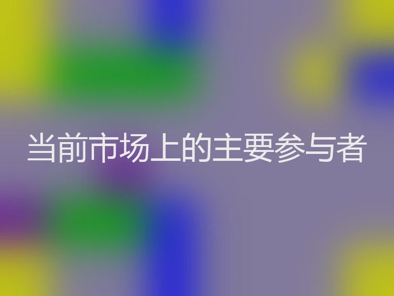 当前市场上的主要参与者