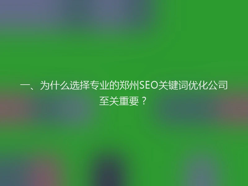 一、为什么选择专业的郑州SEO关键词优化公司至关重要？