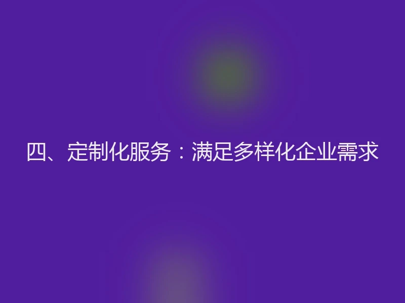 四、定制化服务：满足多样化企业需求