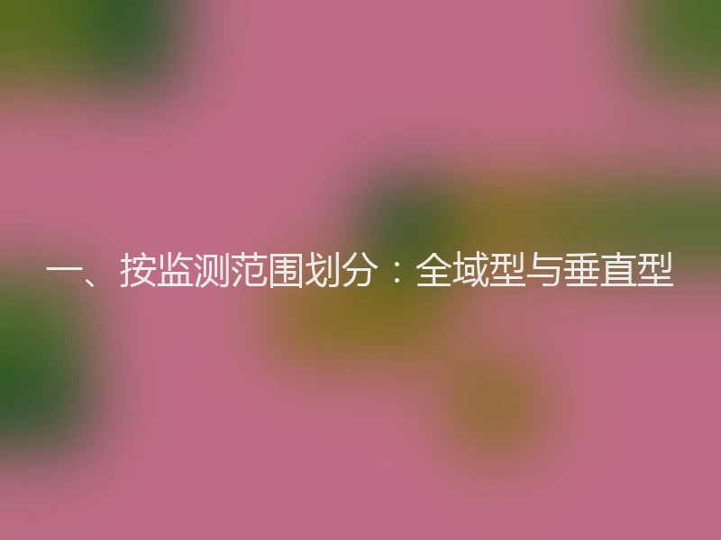 一、按监测范围划分：全域型与垂直型