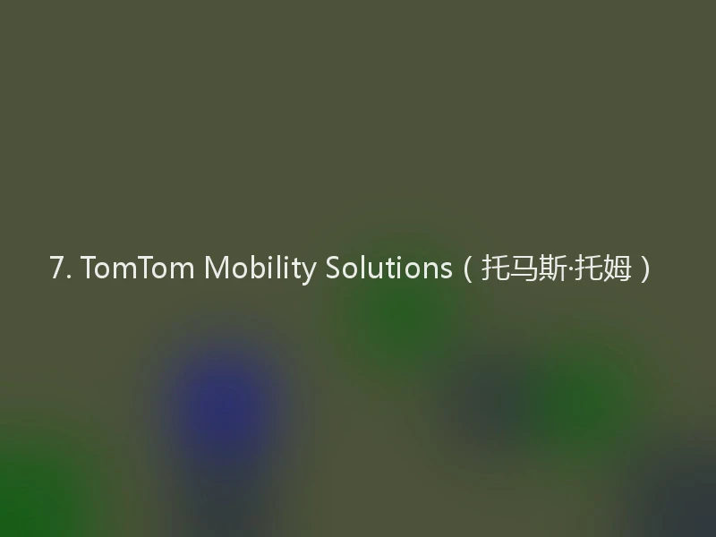 7. TomTom Mobility Solutions（托马斯·托姆）