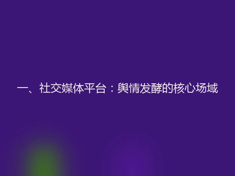 一、社交媒体平台：舆情发酵的核心场域