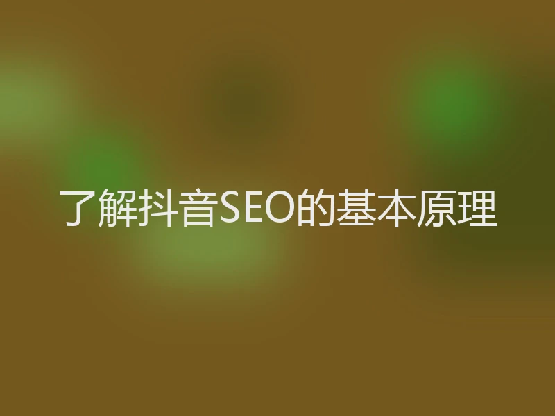 了解抖音SEO的基本原理