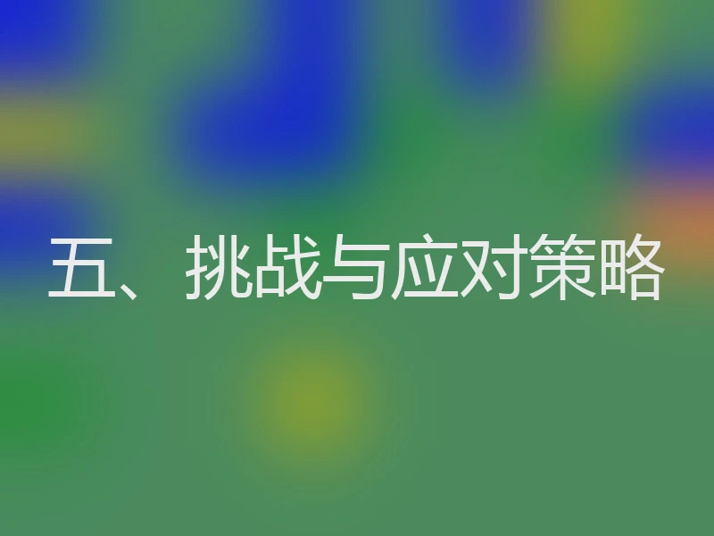 五、挑战与应对策略