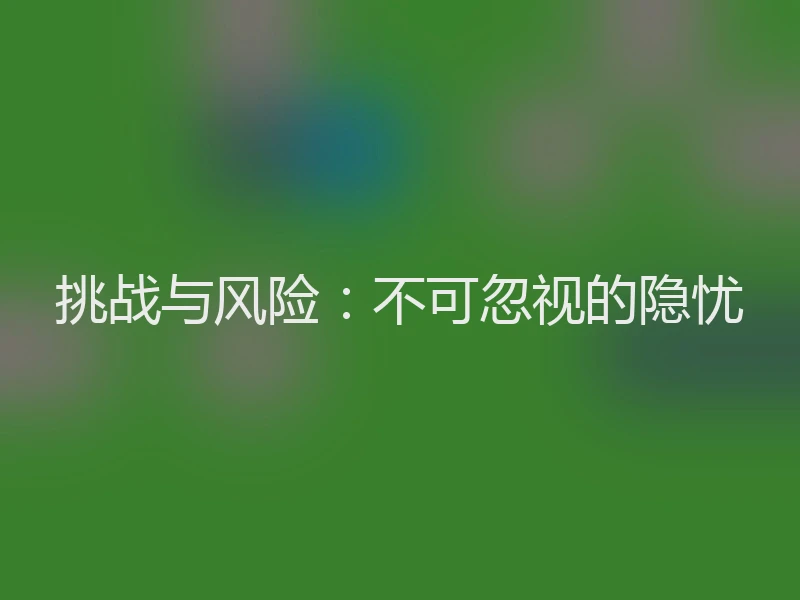 挑战与风险：不可忽视的隐忧