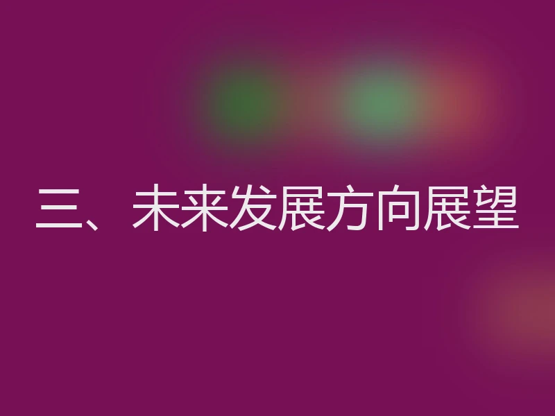 三、未来发展方向展望