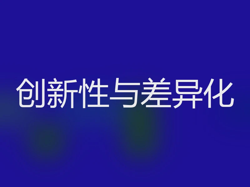创新性与差异化