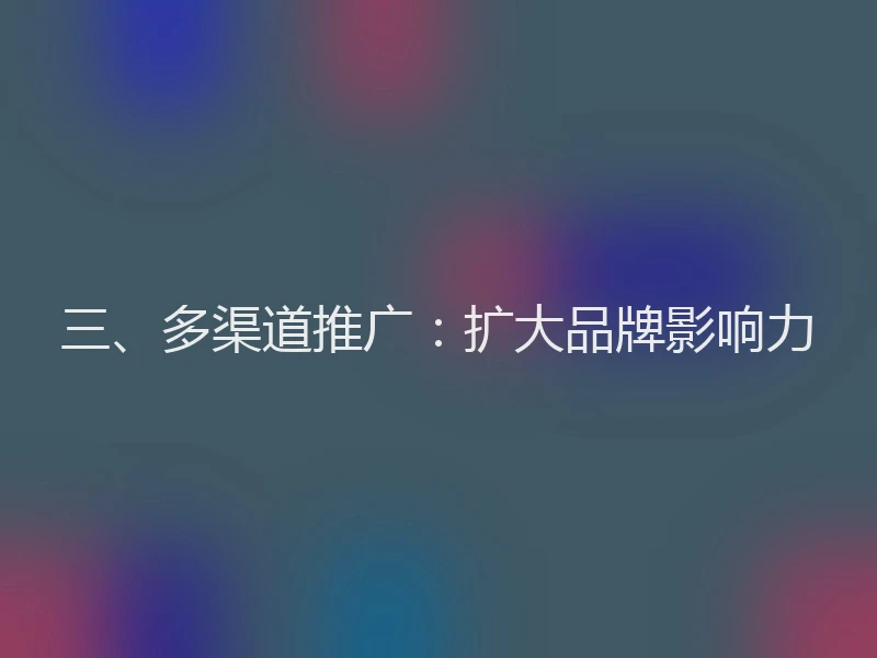 三、多渠道推广：扩大品牌影响力