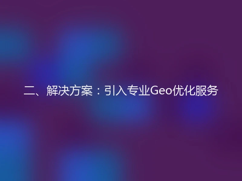 二、解决方案：引入专业Geo优化服务