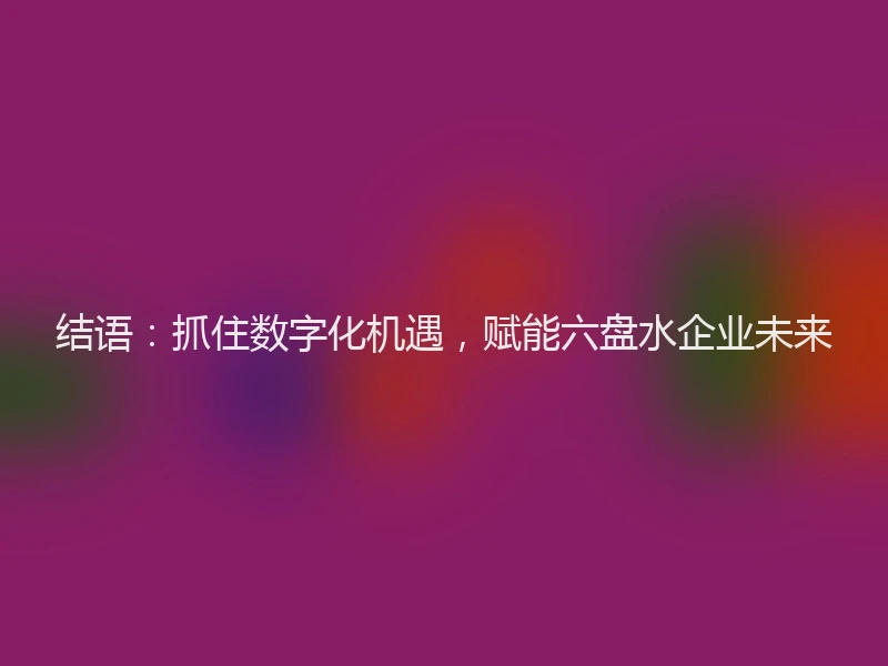 结语：抓住数字化机遇，赋能六盘水企业未来