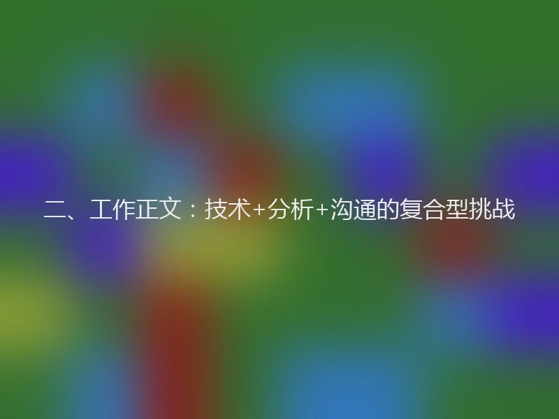 二、工作正文：技术+分析+沟通的复合型挑战