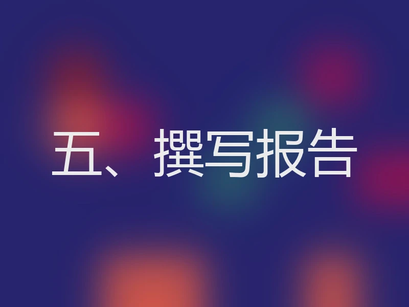 五、撰写报告