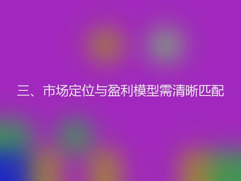 三、市场定位与盈利模型需清晰匹配