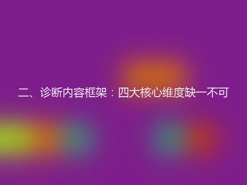 二、诊断内容框架：四大核心维度缺一不可