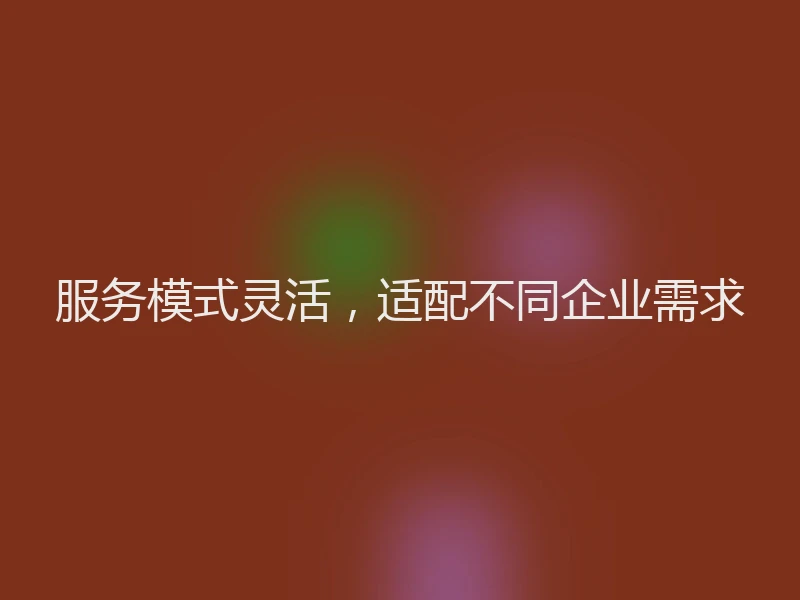 服务模式灵活，适配不同企业需求