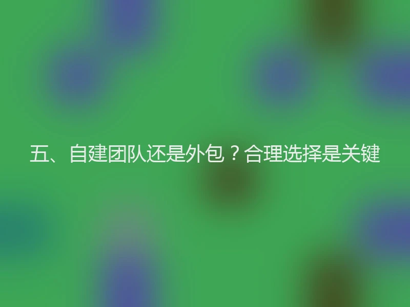 五、自建团队还是外包？合理选择是关键