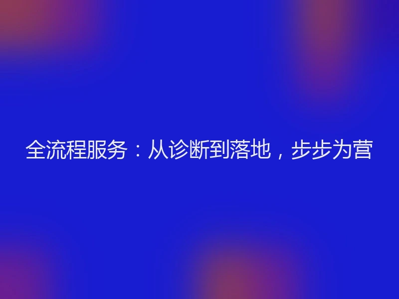 全流程服务：从诊断到落地，步步为营