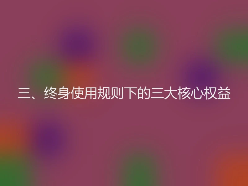 三、终身使用规则下的三大核心权益