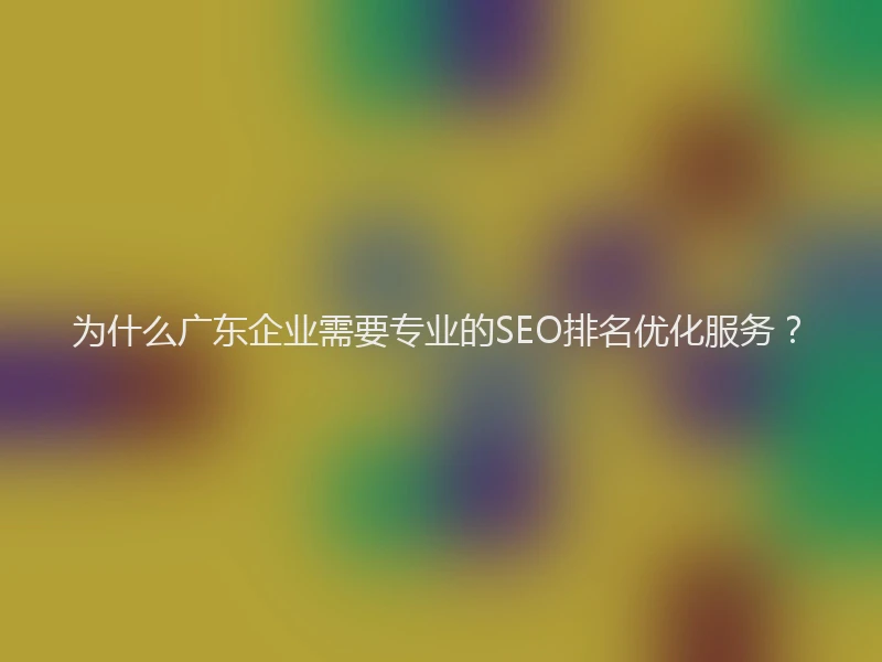 为什么广东企业需要专业的SEO排名优化服务？