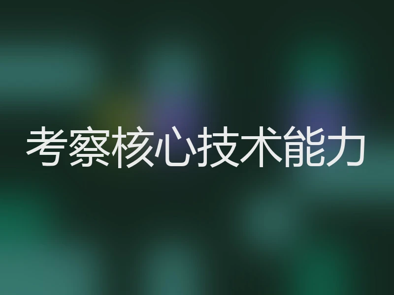 考察核心技术能力