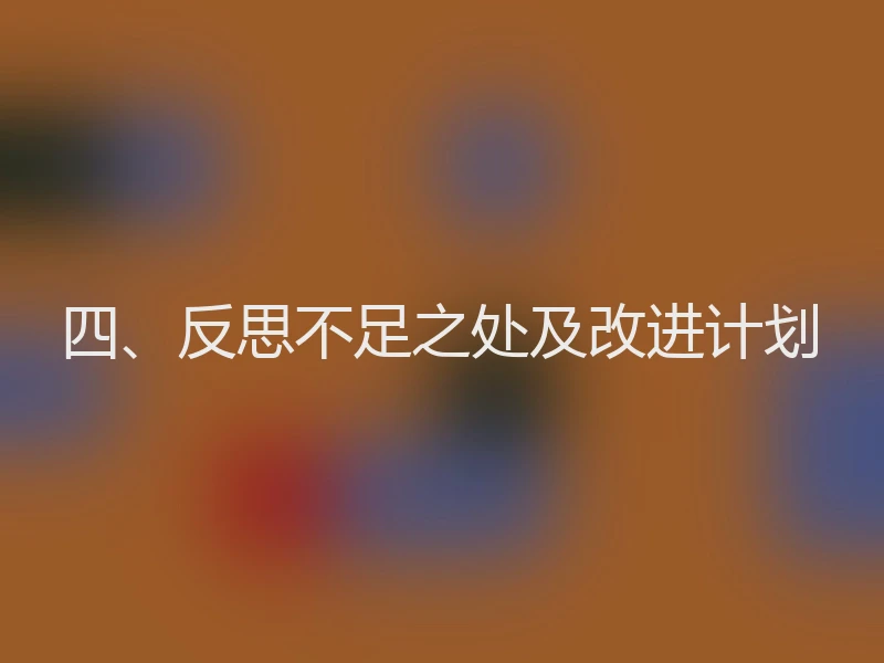 四、反思不足之处及改进计划