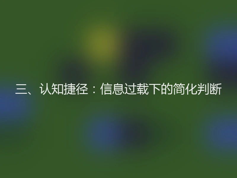 三、认知捷径：信息过载下的简化判断