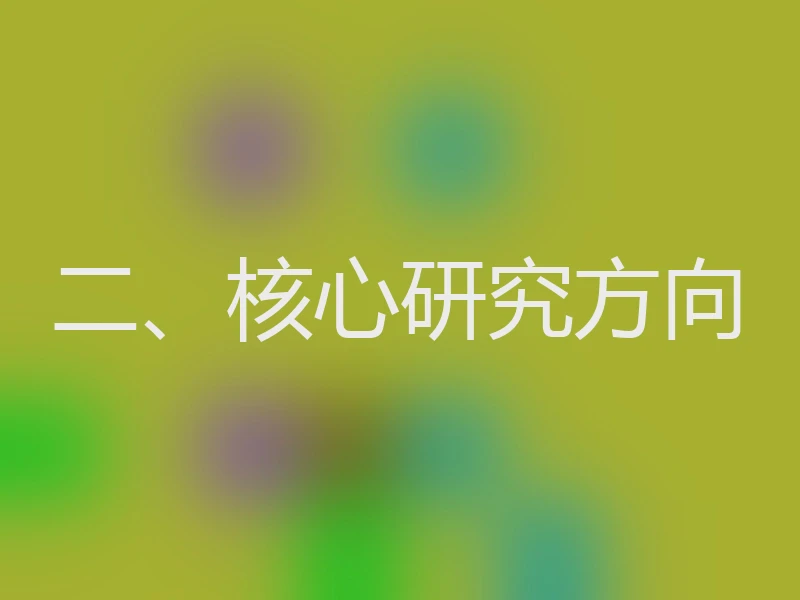 二、核心研究方向