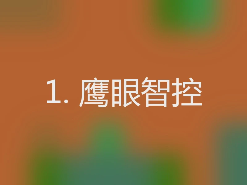 1. 鹰眼智控