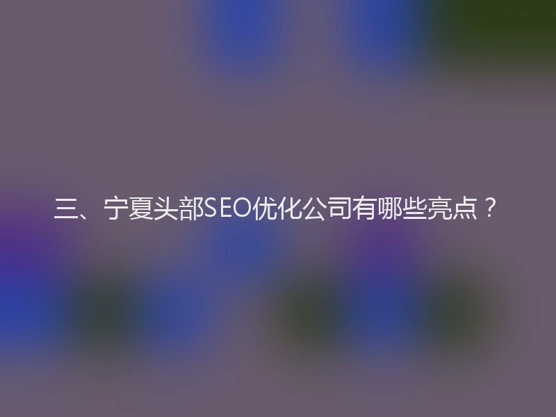 三、宁夏头部SEO优化公司有哪些亮点？