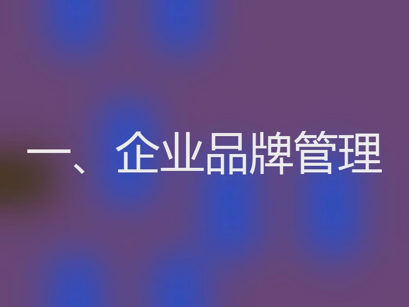 一、企业品牌管理