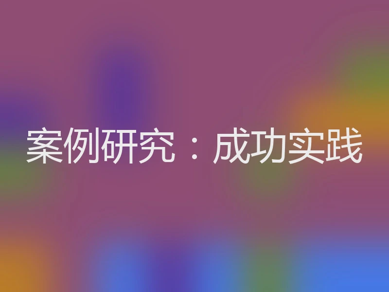 案例研究：成功实践