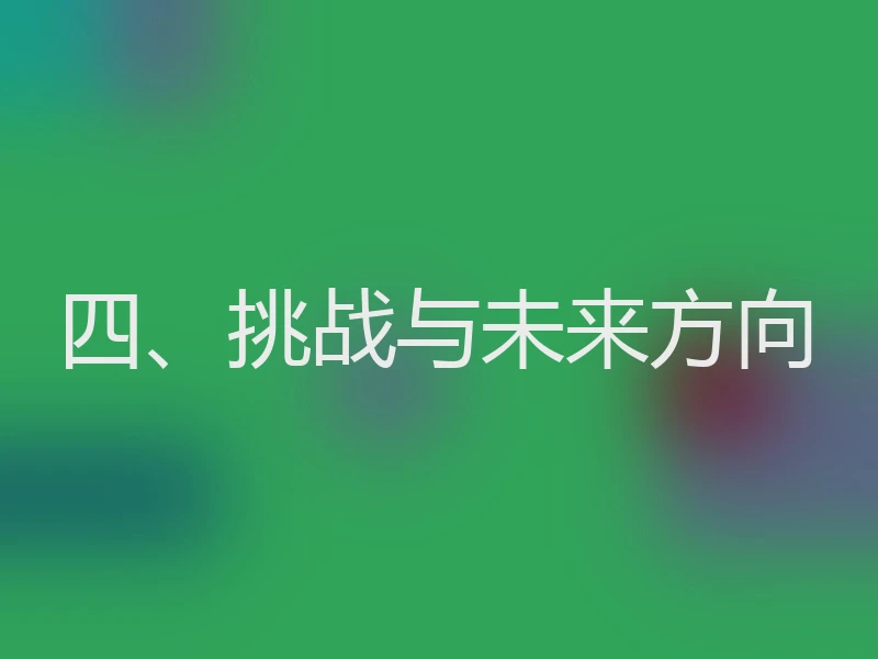 四、挑战与未来方向