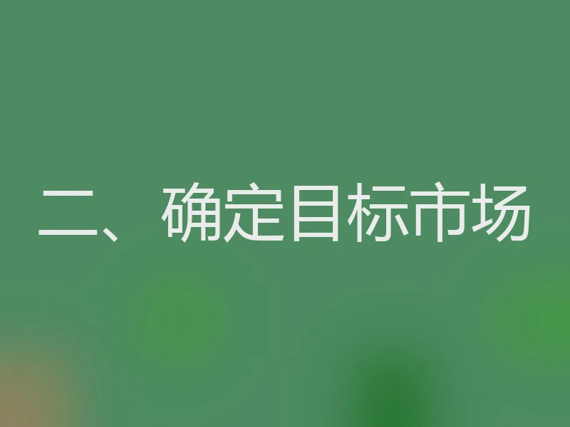二、确定目标市场