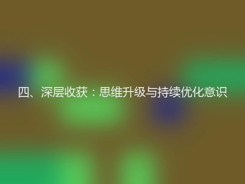 四、深层收获：思维升级与持续优化意识