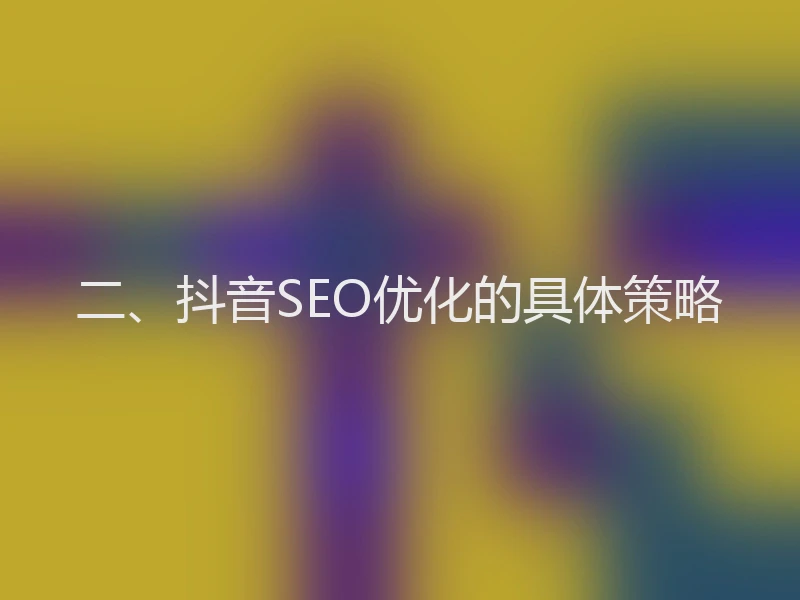 二、抖音SEO优化的具体策略